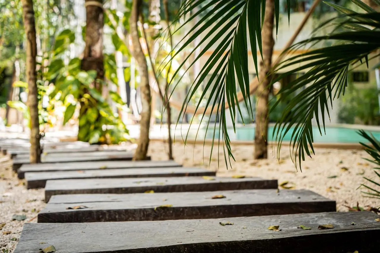 Appartement Casai - Boho-Chic Penthouse With Private Pool In La Veleta à Tulum
