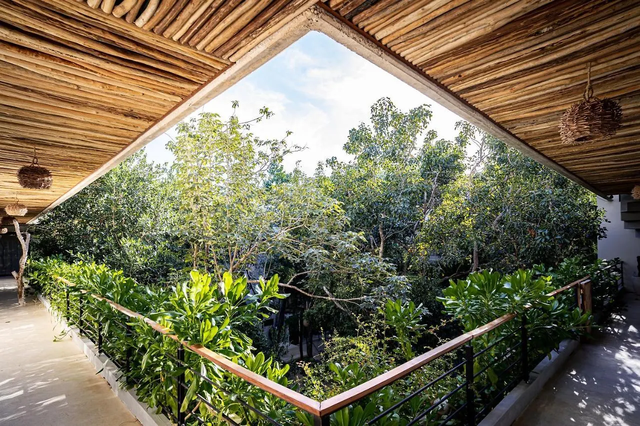 Casai - Boho-Chic Penthouse With Private Pool In La Veleta Apartment Tulum 0*,