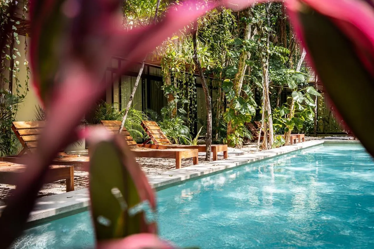 Casai - Boho-Chic Penthouse With Private Pool In La Veleta Apartment Tulum 0*,  Mexico