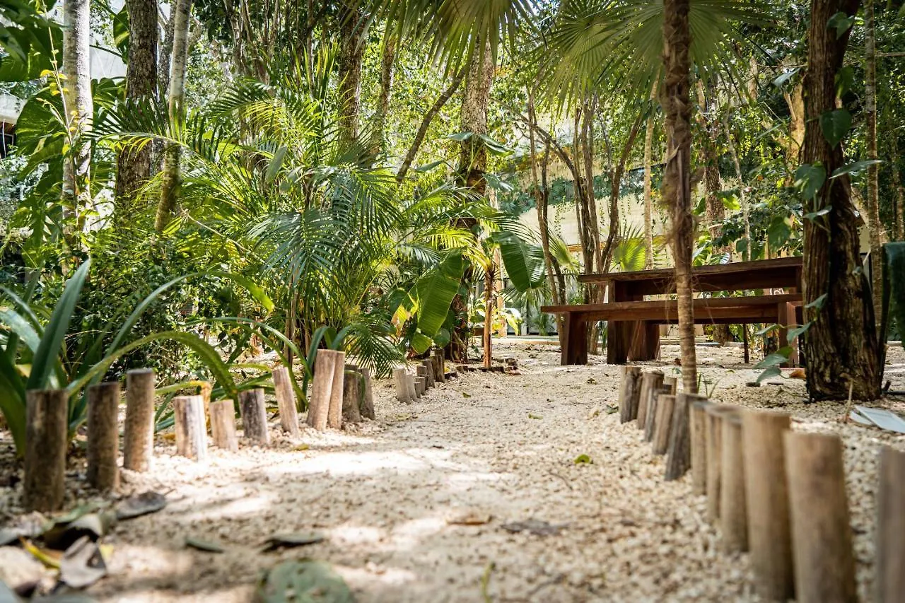 Appartement Casai - Boho-Chic Penthouse With Private Pool In La Veleta à Tulum 0*,  Mexique