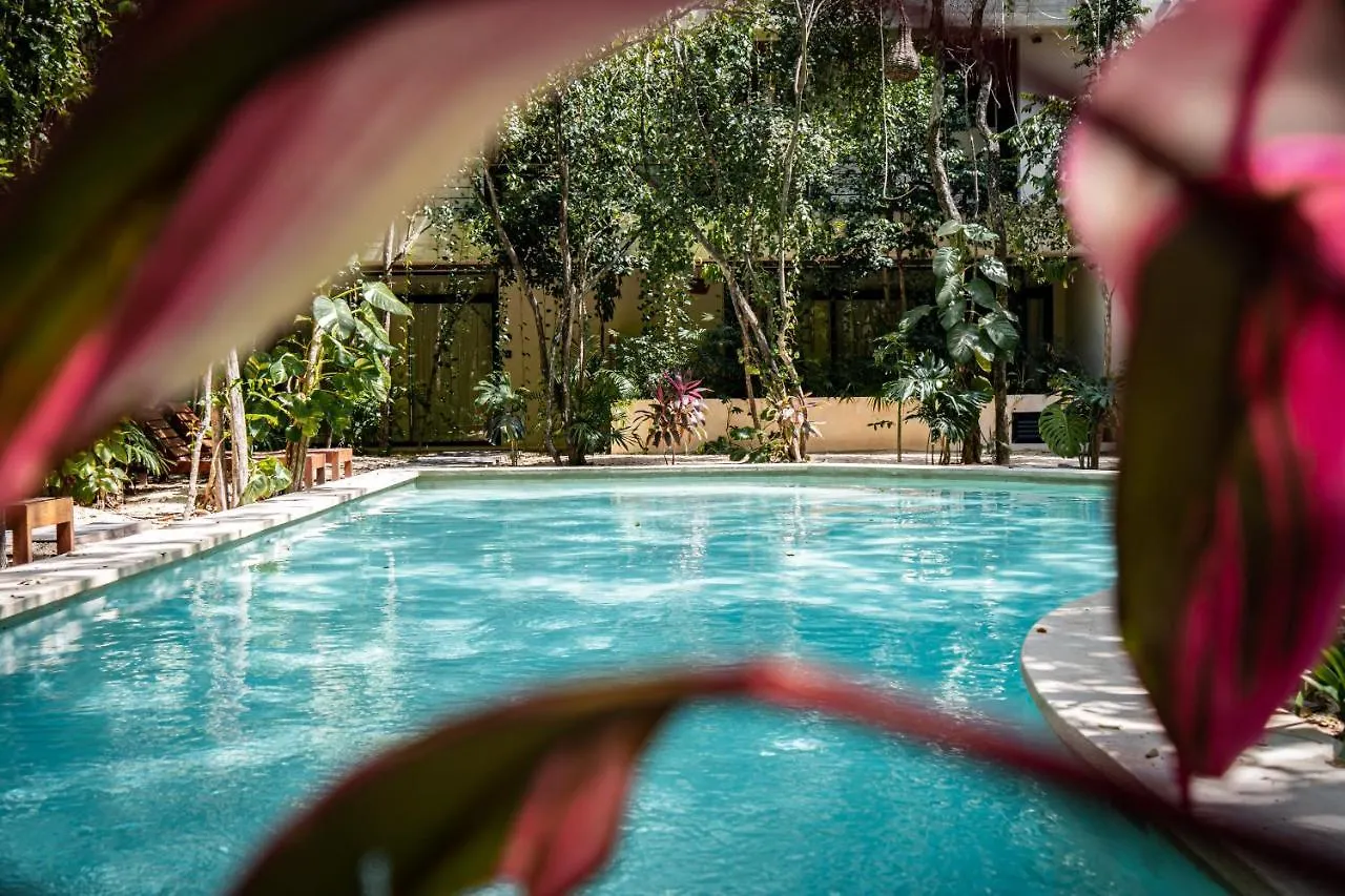 Appartement Casai - Boho-Chic Penthouse With Private Pool In La Veleta à Tulum