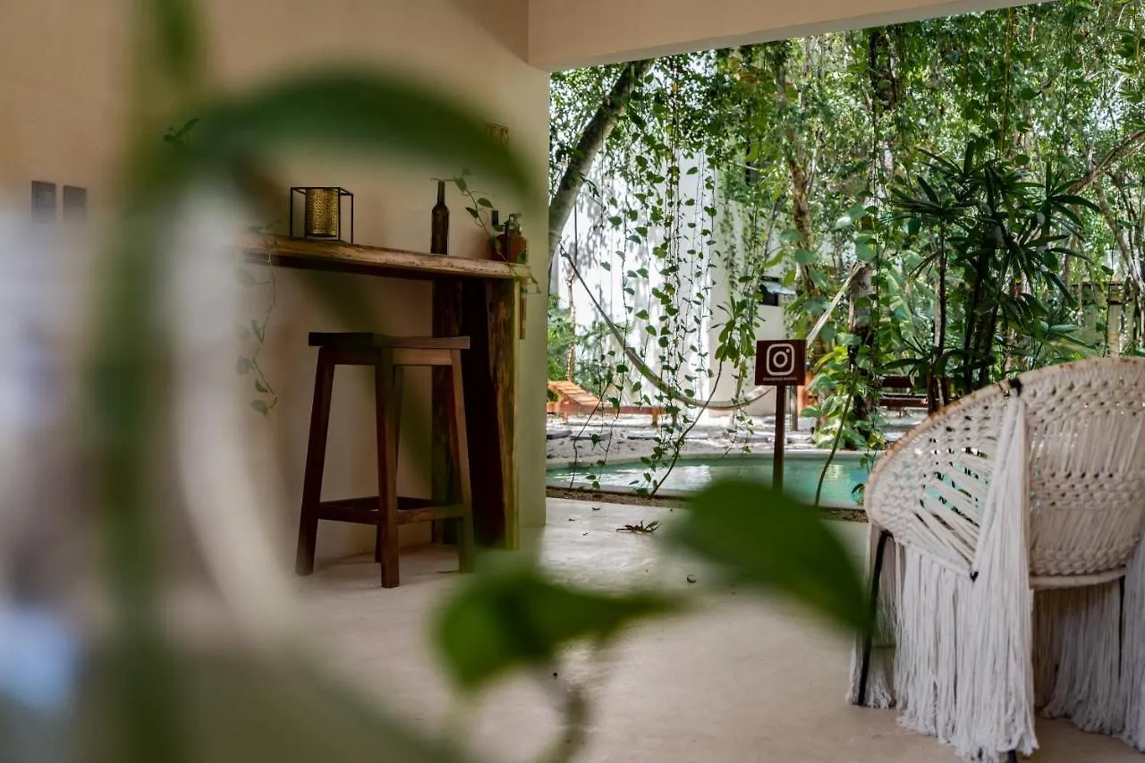 Appartement Casai - Boho-Chic Penthouse With Private Pool In La Veleta à Tulum