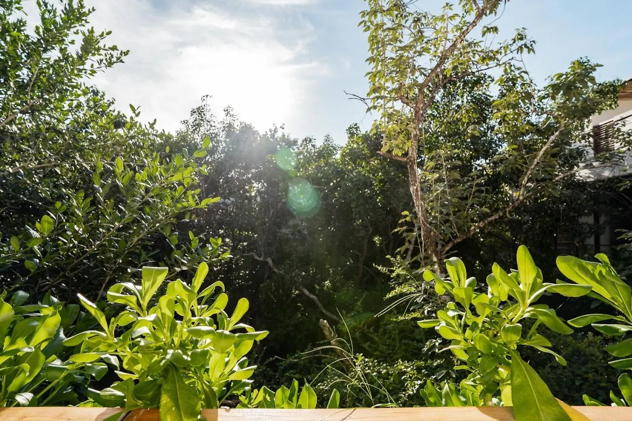 Casai - Boho-Chic Penthouse With Private Pool In La Veleta Apartment Tulum