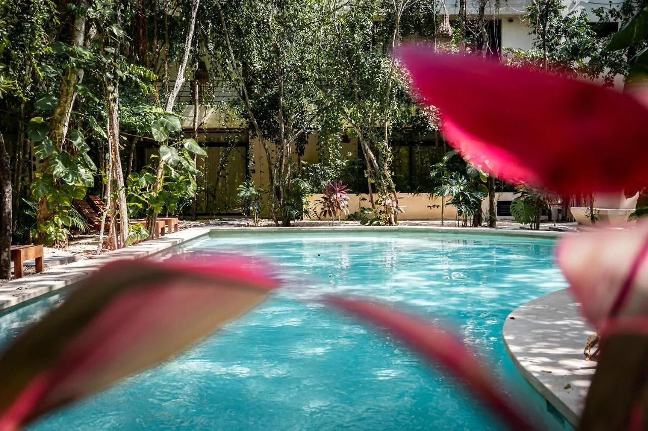Appartement Casai - Boho-Chic Penthouse With Private Pool In La Veleta à Tulum