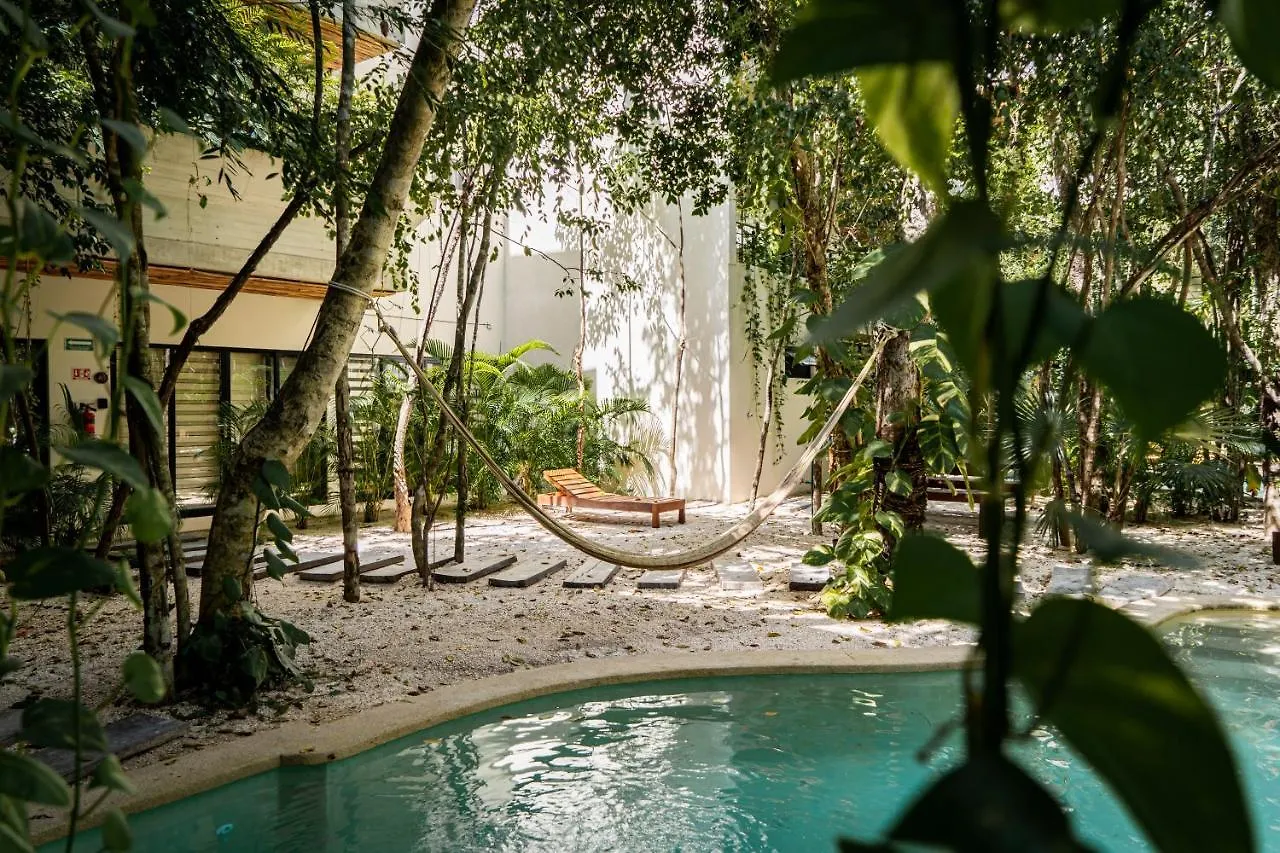 Casai - Boho-Chic Penthouse With Private Pool In La Veleta Apartment Tulum 0*,  Mexico